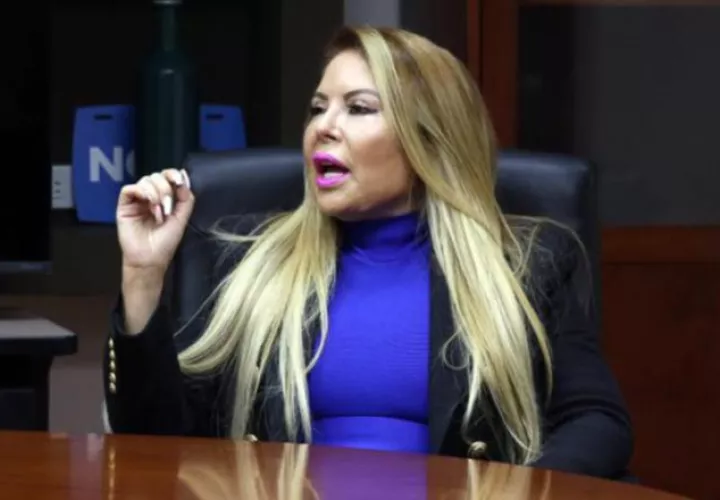 La Prensa publicó información falsa y lo demostré, dijo Castillo. Cortesía