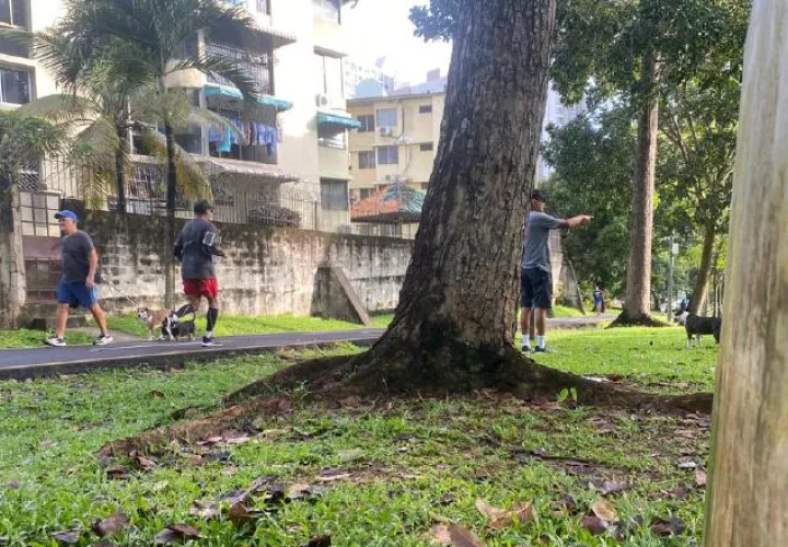 El objetivo es que las canchas y lugares de esparcimiento estén abiertos al público y no se cobre por su uso. Cortesía
