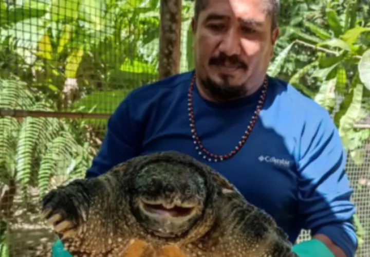 En el serpentario se ayuda a diferentes especies de animales. Cortesía