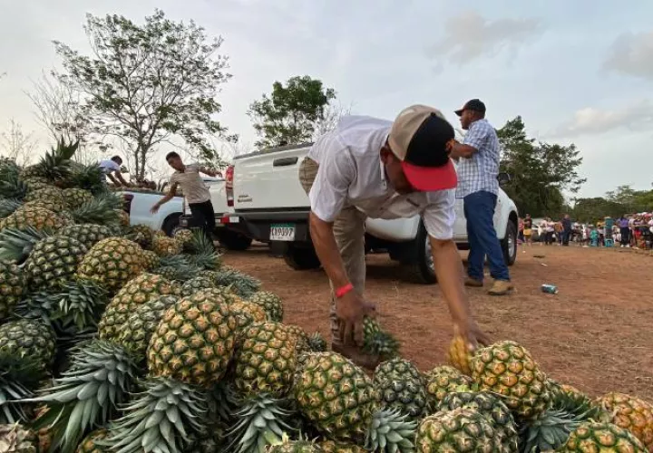 La feria es aprovechada para realizar paseos agroturísticos, los cuales tienen una duración de 30 minutos.  Fotos: Eric A. Montenegro