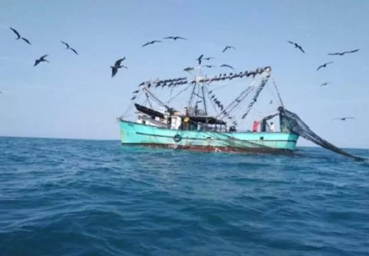 Política cero tolerancia contra la pesca ilegal.