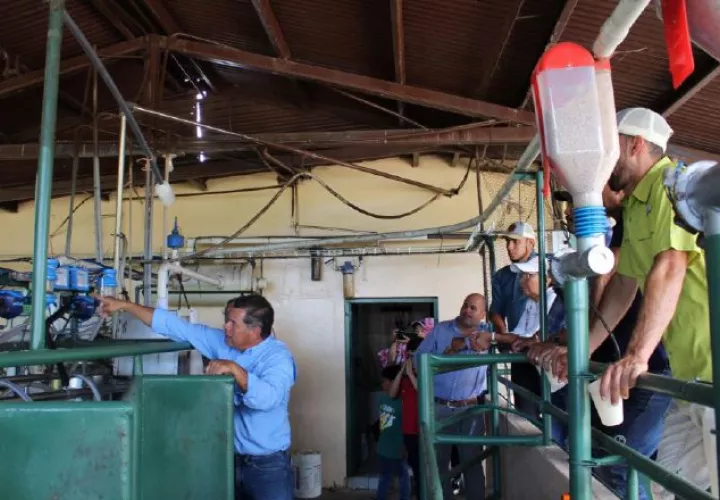 El programa también almacena datos  de las vacas, fecha de nacimiento, progenitores.  Senacyt