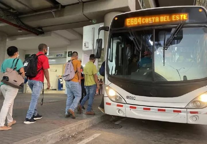 A la fecha circulan aproximadamente 660 buses diarios.