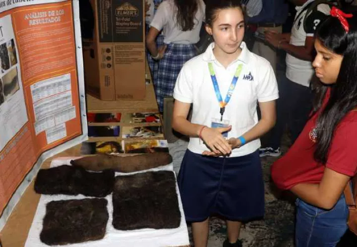 Tamar Kolangui Malca  del 11º grado del colegio  Magen David Academy enseña los modelos de trampa hechas con cabellos para erradicar derrames de petróleo en el mar. Víctor Arosemena