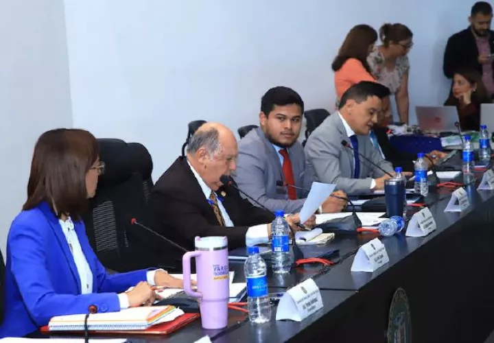 Los diputados sostuvieron esta semana una reunión con el presidente José Raúl Mulino para conversar sobre el proyecto de reformas. cortesía
