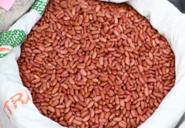 Los porotos  tienen un alto consumo en Panamá. FAO/Wenwei Luo