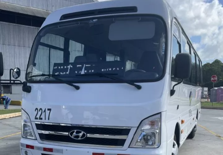 MiBus ha puesto en circulación algunos buses medianos.  Cortesía