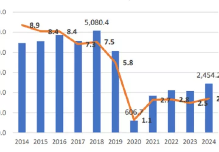 Evolución de la inversión extranjera en comparación con el PIB. Imagen de Internet