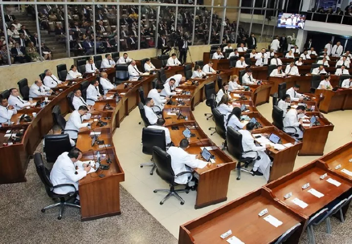 Dos diputados, hasta la fecha, han manifestado sus intenciones de presidir la Asamblea.  Cortesía 