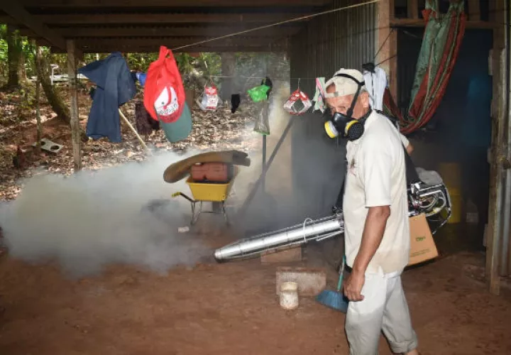 Varias víctimas de el mosquito.
