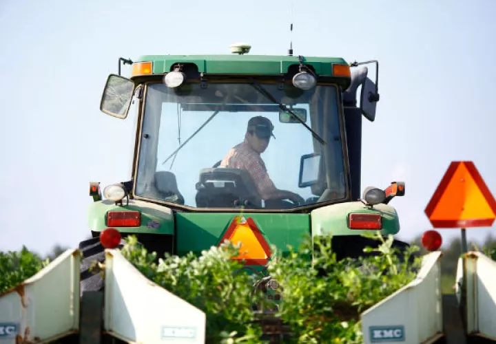 Crecen las bancarrotas de los agricultores de EU, dicen cifras. Foto/ Melissa Golden para The New York Times.