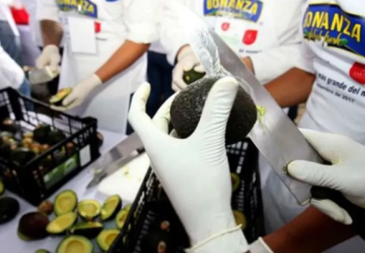La elaboración del guacamole más grande del mundo, en México. Foto: EFE