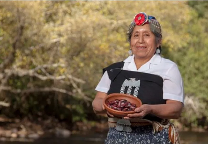 Al finalizar el curso, las estudiantes recibirán los títulos sobre abonos orgánicos, producción de cultivos orgánicos. Foto/Tomada de redes sociales @FAOAmericas