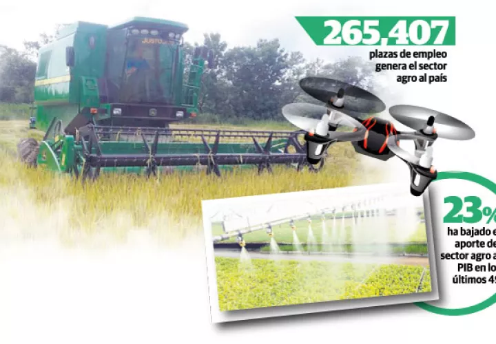 Hasta agosto de 2018, el sector agro había generado unas 265 mil 407 plazas de empleo en el país, con un aporte de 1.9% al PIB, cuando en 1970 era del 25%.