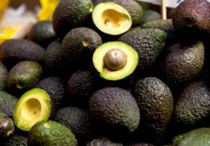 Estados Unidos, en riesgo de quedarse sin aguacates si Donald Trump levanta el muro