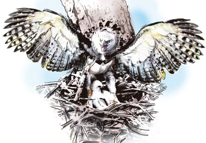 El águila harpía.