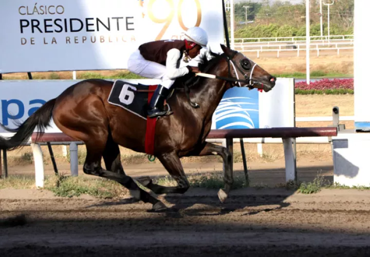 Ángel Rivas tratará de ganar otra vez con Alaxebo.