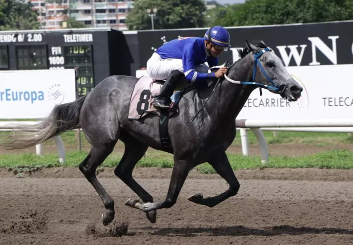 Amanit tratará de acabar con el invicto de Cameron.