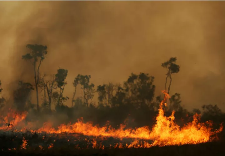 Ambientalistas dicen que líderes mundiales y corporativos deben ser criminalmente responsables de los desastres ecológicos. Una escena del estado brasileño de Amazonas, este mes. Foto/ Bruno Kelly/Reuters.