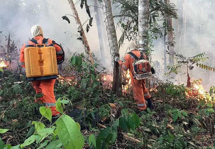  Incendio en la amazonía brasileña, en Porto Velho, capital del estado amazónico de Rondonia. Foto: EFE.