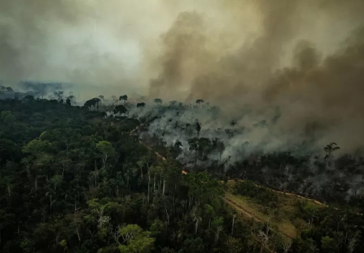 Los Bomberos del Estado amazónico de Pará, combatiendo un incendio en la región de Santarém (Pará). La tensión internacional desatada por los incendios en la Amazonía, región que concentra cerca del 15% de la agropecuaria brasileña, deja en el aire la aprobación del acuerdo entre la UE y el Mercosur y abre dudas sobre el futuro de las exportaciones del país por el temor de algunos sectores a un boicot. FOTO/EFE