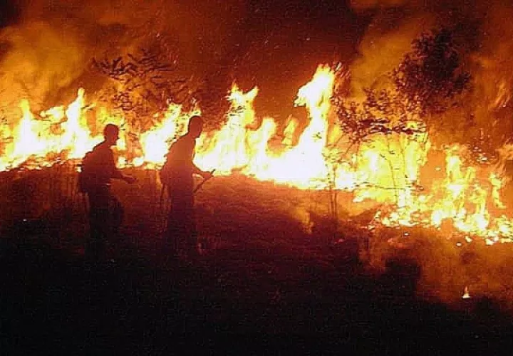 Los Bomberos del estado de Acre, tratan de hacerle frente a las inmensas llamas. FOTO/EFE