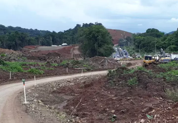 La ampliación de la Panamericana provocará la deforestación de 91 hectáreas.