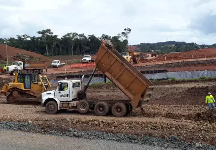 La ampliación de la Panamericana provocará la deforestación de 91 hectáreas.