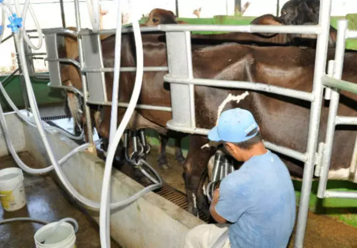 No tienen certeza de que los productos importados estén siendo debidamente evaluados