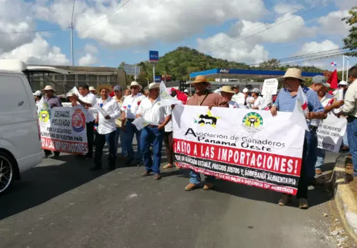 La marcha fue pacífica. Foto: Eric A. Montenegro.