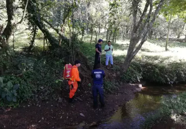 Personal del Sinaproc procedió a realizar la búsqueda del anciano en Chiriquí.