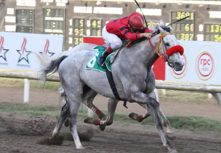 Ángel Forever será uno de los caballos mejor cotizados hoy.