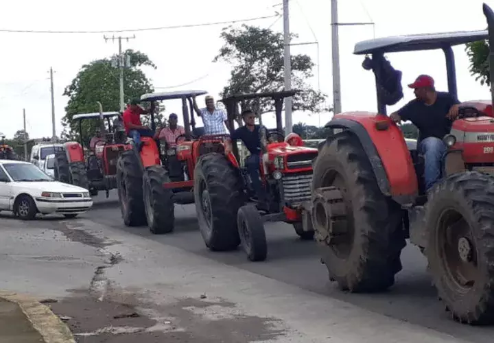 Los productores de arroz viajan en los tractores y camiones hasta la ciudad de David, en la provincia de Chiriquí. 