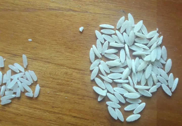El grano del arroz fortificado es parecido al grano natural. Foto/ Redes Sociales