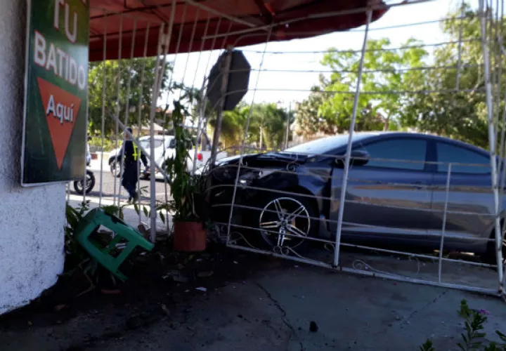  Quedó entre los hierros de la verja del local,  Foto. Thays Domínguez. 