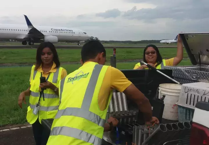 El gallinazo cabecirrojo es el ave de mayor peligro para las operaciones aéreas, según Control de Fauna del Aeropuerto de Tocumen. Foto/MLasso