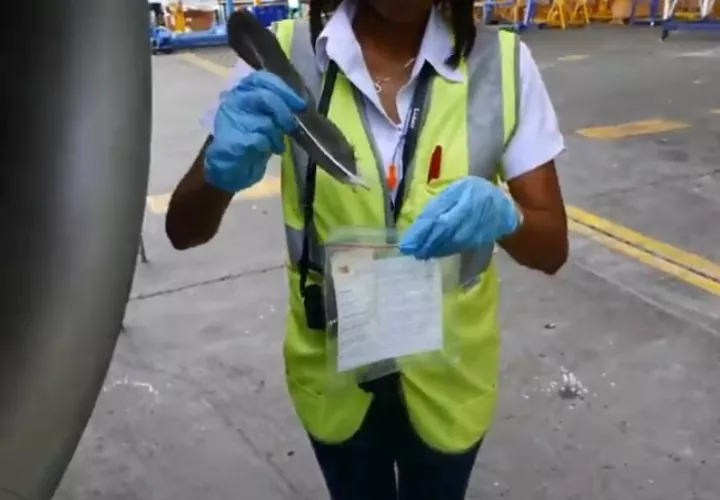 El resultado de las muestras analizadas son entregadas al aeropuerto un mes después de recibidas.