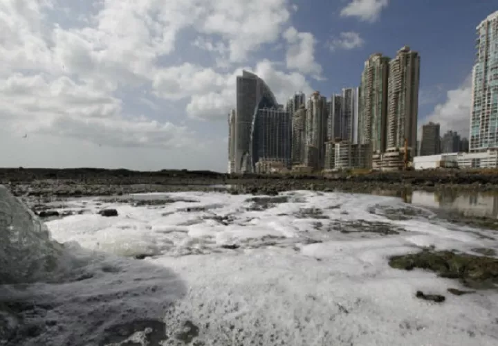 Las expectativas por el desarrollo y descontaminación de la bahía ha generado mucha confianza. Foto de archivo