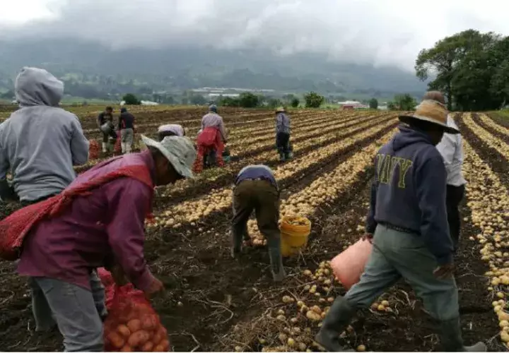 La región de Centroamérica importó cerca de 27 mil millones de dólares en el 2016, y Panamá representó tan solo 2.5% de ese valor.