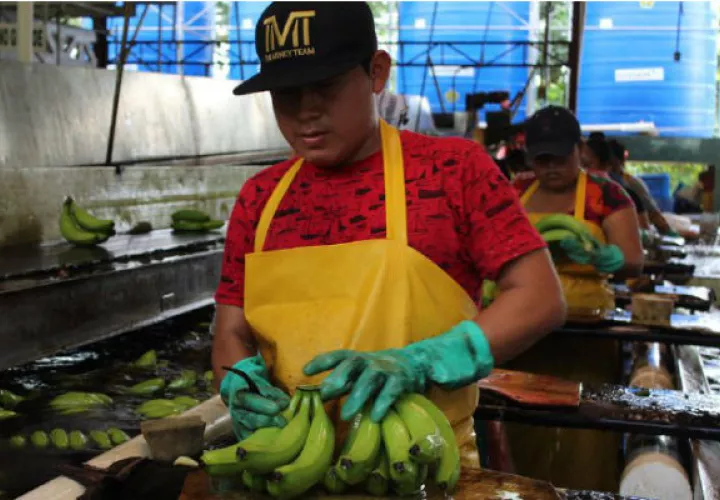 Actualmente se exportan frutas y productos del mar a  Europa y China. Cortesía