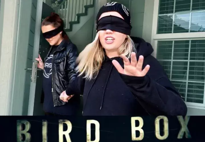 Bird Box.