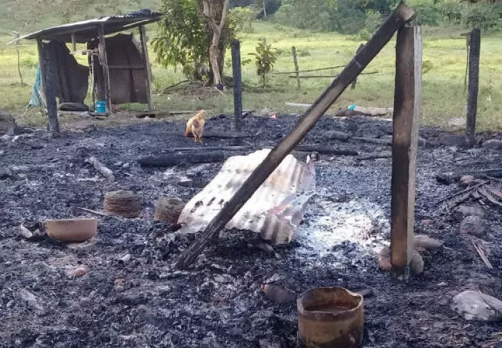Las llamas consumieron la vivienda de zinc y madera en Bocas del Toro. 