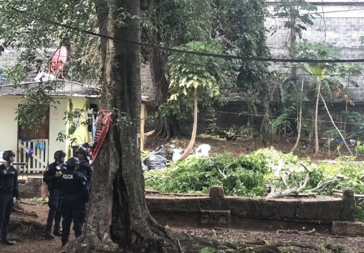 La medida de la tala de los árboles en Brooklincito fue frenada personalmente por la alcaldesa encargada de la ciudad de Panamá, Raisa Banfield.