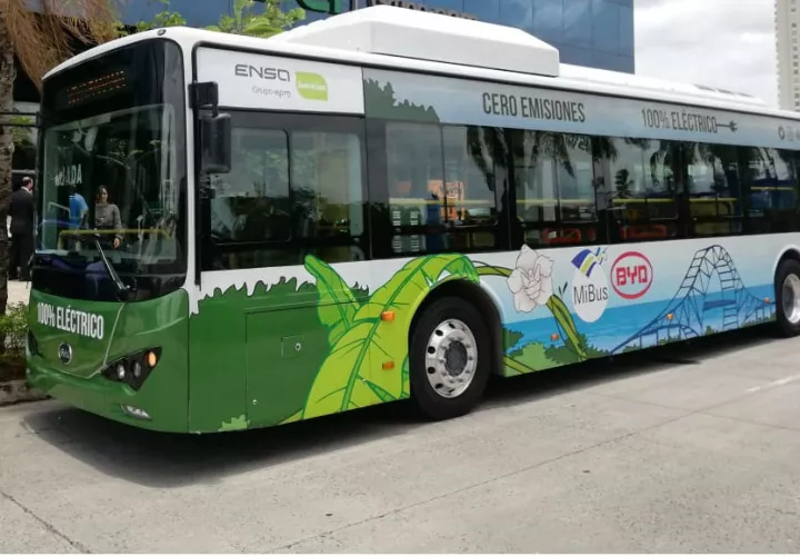 Un bus eléctrico tipo K9, de  12 metros de largo, tienen un tamaño similar a los que actualmente conforman la flota de Mi Bus.
