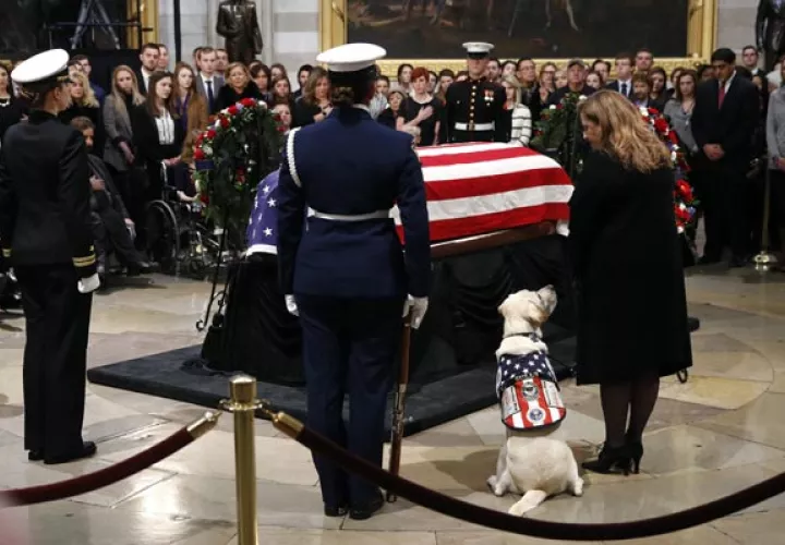 El can viajó a Washington con el cortejo fúnebre y, la mañana del martes, las autoridades emitieron una advertencia de dos minutos por la llegada de Sully a la Rotonda. Sully caminó tranquilamente, llevado por la correa por Valerie Cramer, la gerente del programa de perros de servicio de America's VetDogs. FOTO/AP