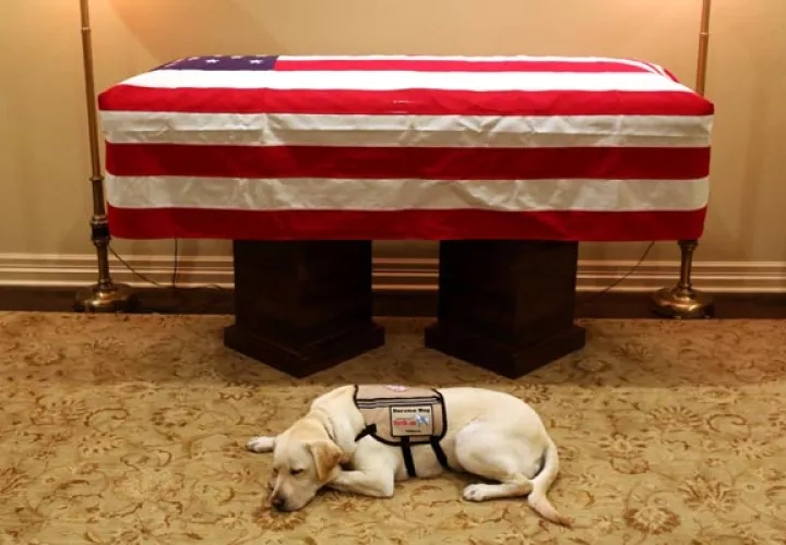 Sully, acompañó al expresidente hasta el último momento George H.W. Bush. FOTO/AP