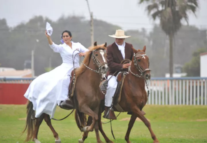 Los caballos peruanos son hermosos y elegantes.  Foto: https://animalesyplantasdeperu.blogspot.com
