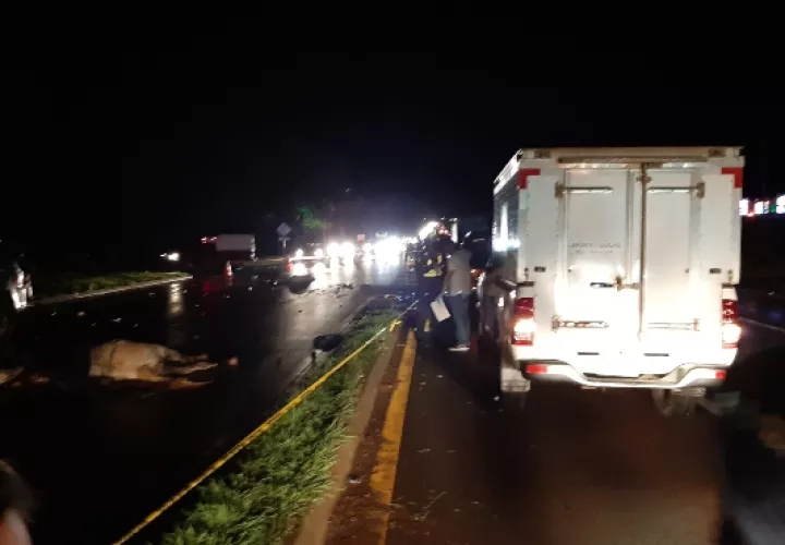 El jinete y el caballo fueron atropellados en la vía interamericana en la comunidad de Génesis de la ciudad de Santiago. Foto/Melquiades Vásquez