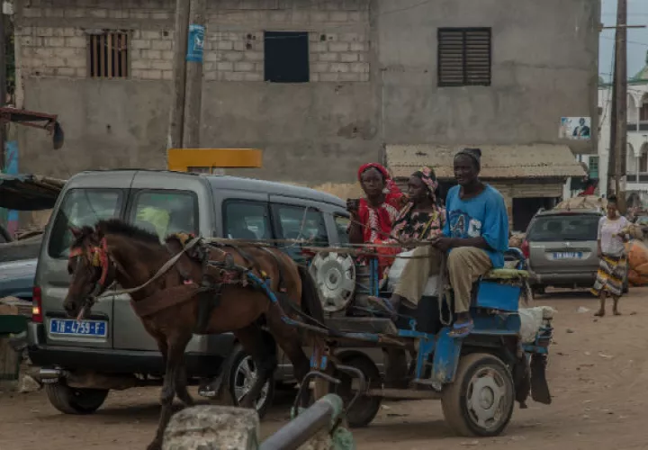 Las carretas tiradas por caballos son populares en Rufisque, suburbio de Dakar, Senegal. Pasan por caminos intransitables para autos y son más baratas que los taxis. Foto/ Yagazie Emezi para The New York Times.