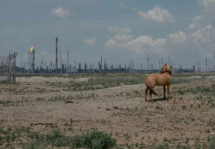 Caballos en el campo petrolero de Tengiz, que proporciona casi una cuarta parte del ingreso nacional de Kazajistán. Foto/ Nanna Heitmann para The New York Times.